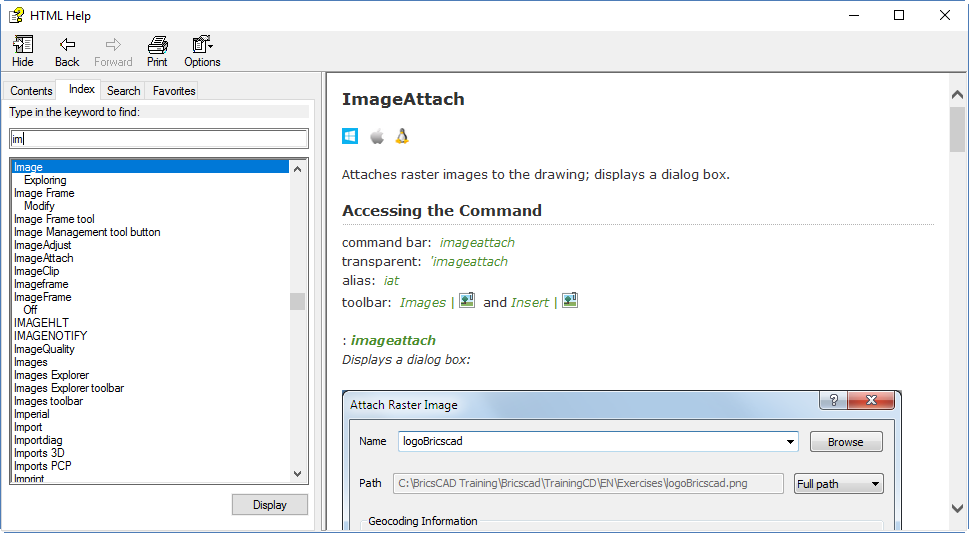 bricscad page setup server